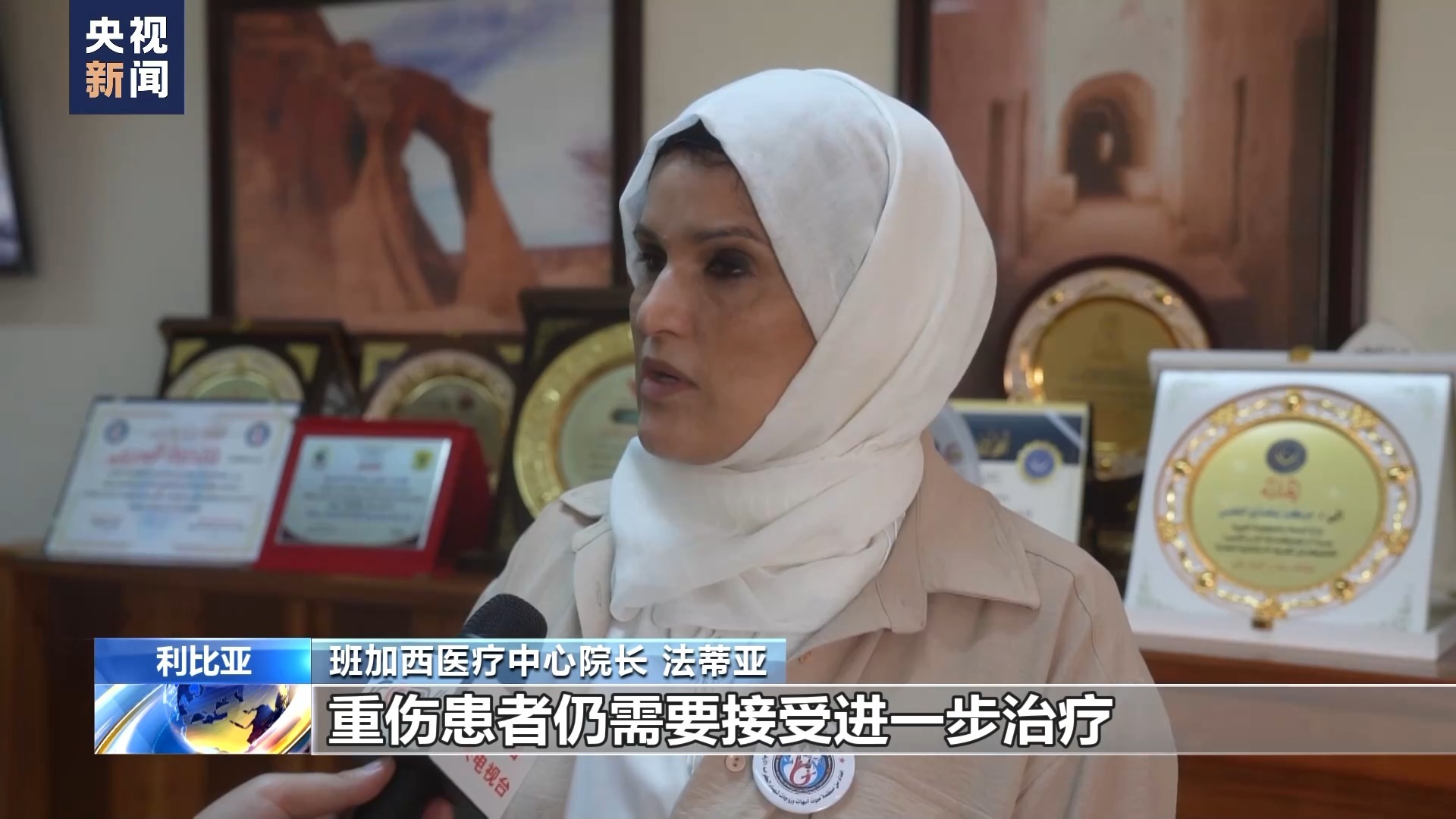 葡萄京官网平台